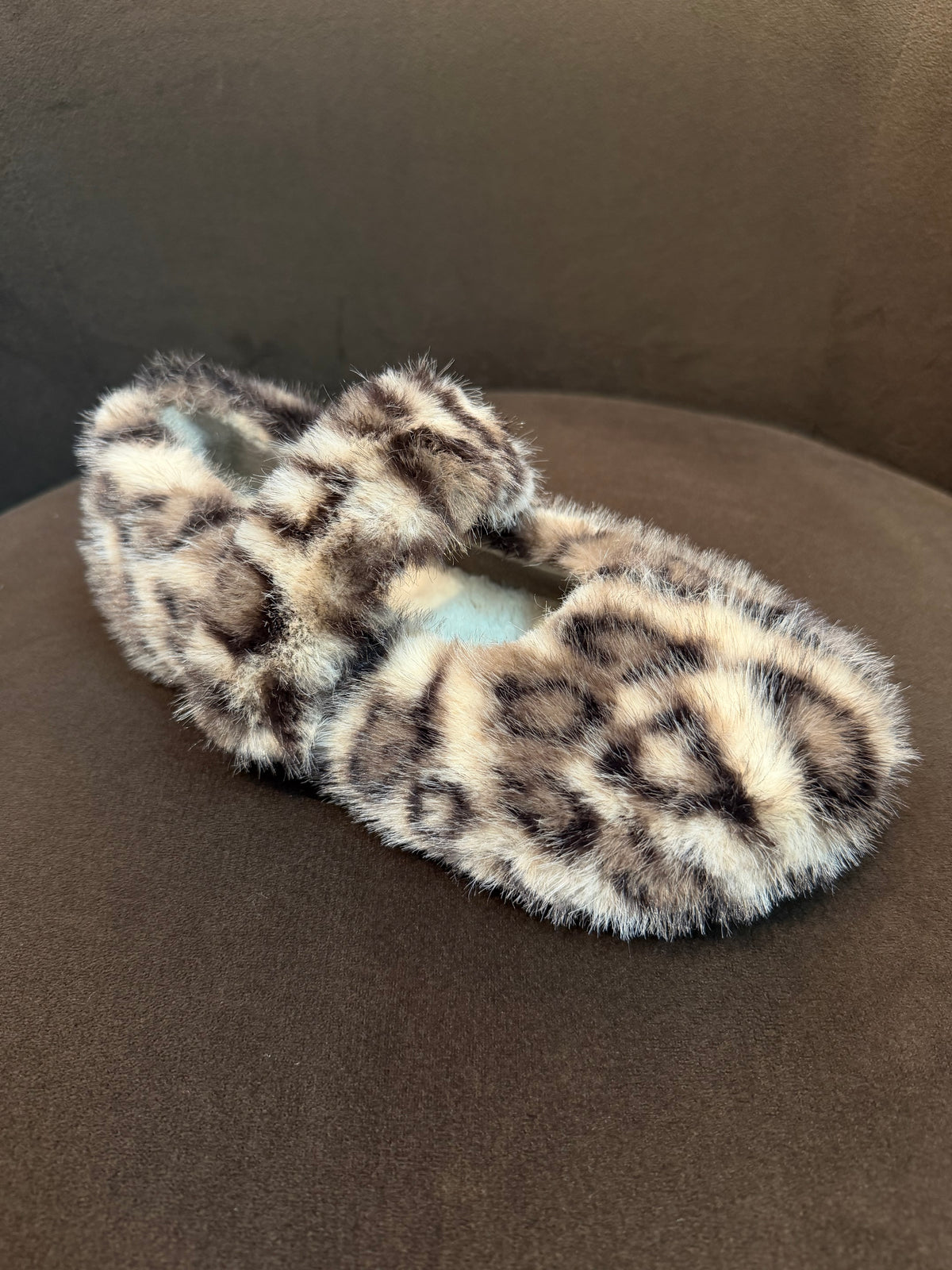 VERBENAS YINA FELINE - MULTI